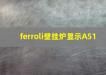 ferroli壁挂炉显示A51