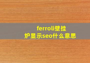 ferroli壁挂炉显示seo什么意思