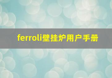 ferroli壁挂炉用户手册