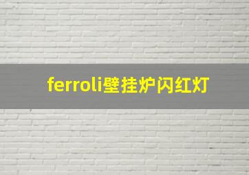 ferroli壁挂炉闪红灯