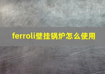 ferroli壁挂锅炉怎么使用