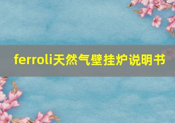 ferroli天然气壁挂炉说明书