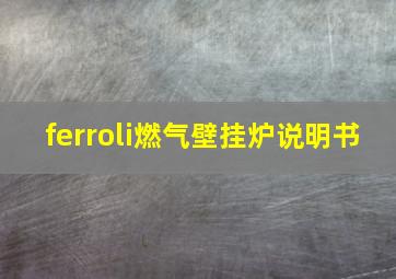 ferroli燃气壁挂炉说明书