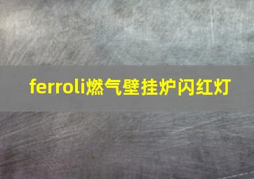 ferroli燃气壁挂炉闪红灯