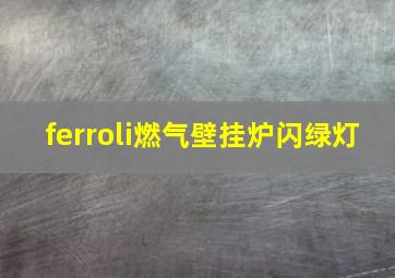 ferroli燃气壁挂炉闪绿灯