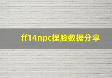 ff14npc捏脸数据分享