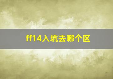 ff14入坑去哪个区