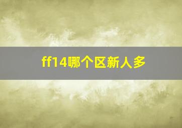 ff14哪个区新人多