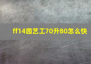 ff14园艺工70升80怎么快