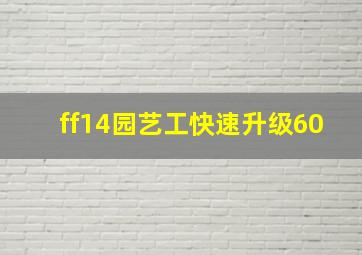 ff14园艺工快速升级60