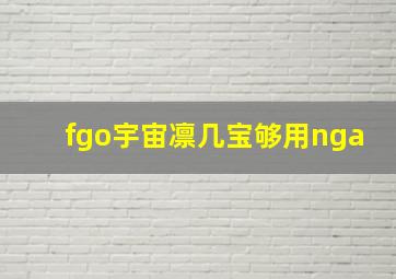 fgo宇宙凛几宝够用nga