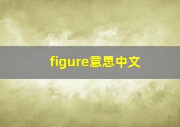 figure意思中文