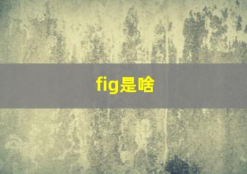 fig是啥