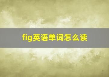 fig英语单词怎么读