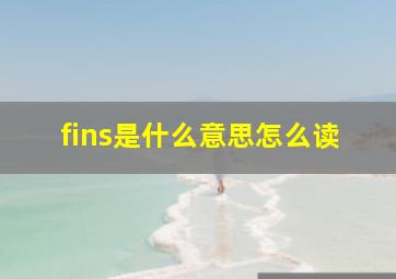 fins是什么意思怎么读