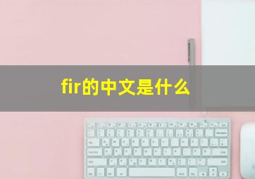 fir的中文是什么