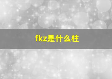 fkz是什么柱