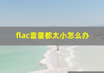 flac音量都太小怎么办