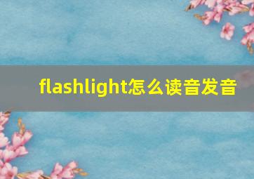 flashlight怎么读音发音