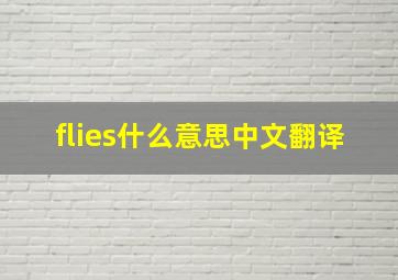 flies什么意思中文翻译