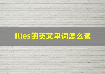 flies的英文单词怎么读