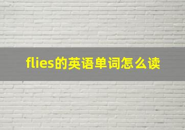 flies的英语单词怎么读