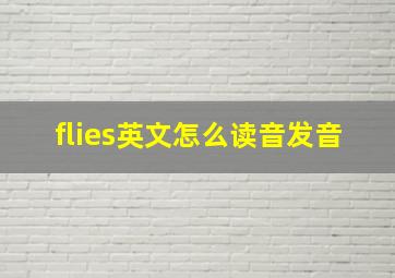 flies英文怎么读音发音