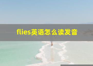 flies英语怎么读发音