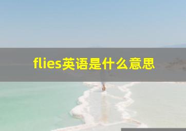 flies英语是什么意思