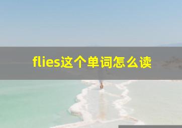 flies这个单词怎么读