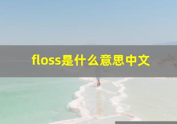 floss是什么意思中文