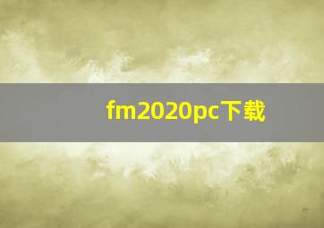 fm2020pc下载