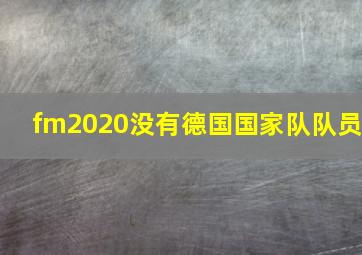 fm2020没有德国国家队队员