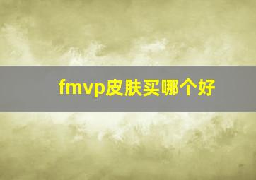 fmvp皮肤买哪个好