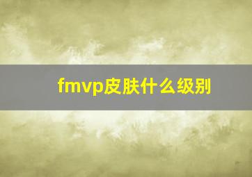 fmvp皮肤什么级别