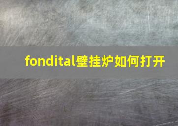 fondital壁挂炉如何打开