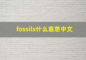 fossils什么意思中文