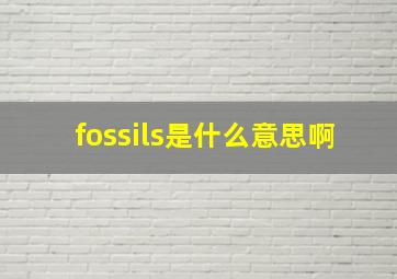 fossils是什么意思啊