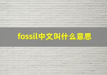 fossil中文叫什么意思