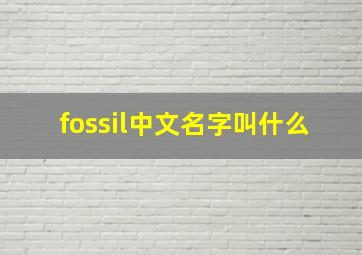 fossil中文名字叫什么