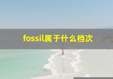 fossil属于什么档次