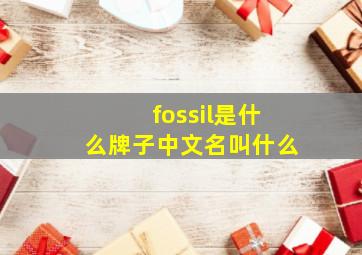 fossil是什么牌子中文名叫什么