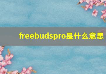 freebudspro是什么意思