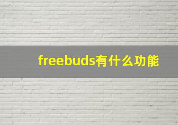 freebuds有什么功能