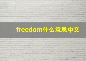 freedom什么意思中文