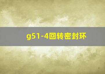 g51-4回转密封环