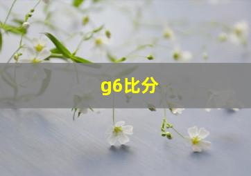 g6比分