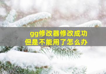 gg修改器修改成功但是不能用了怎么办