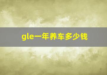 gle一年养车多少钱