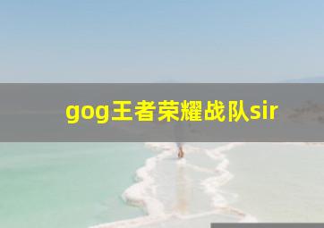 gog王者荣耀战队sir